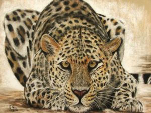 Voir le détail de cette oeuvre: léopard